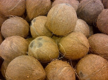 coconut-bangladesh.jpg